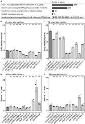 The Nutrient-Responsive Molecular Chaperone Hsp90 Supports Growth and Development in Drosophila